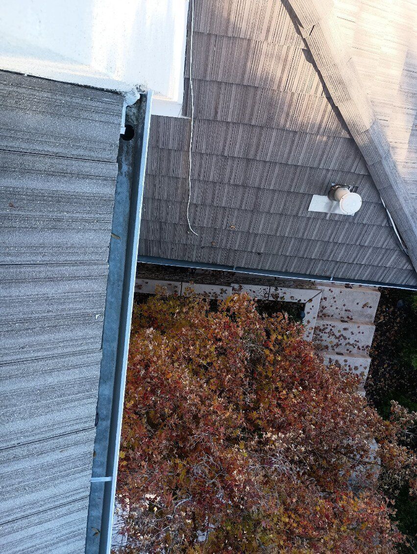 View from above of a roof with a gutter, with an autumn tree below.