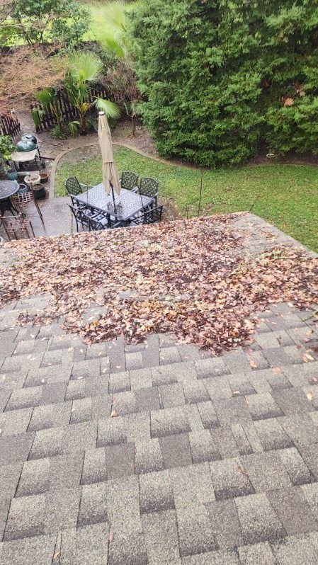 Roof covered in brown leaves, overlooking a patio with a table and chairs. Green trees in the background.