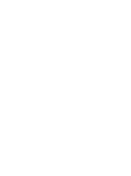 a drawing of a mosquito on a white background .