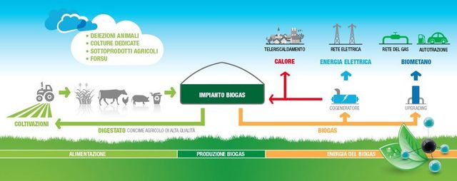 Seminiera alveolare - Tutti i fabbricanti del settore agricolo