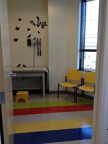 exam room with birds on wall
