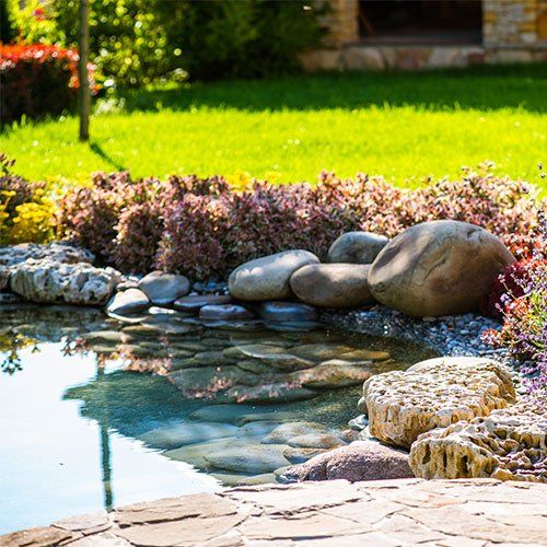 A Pond — Louisville, KY — Big Guys Pro Services