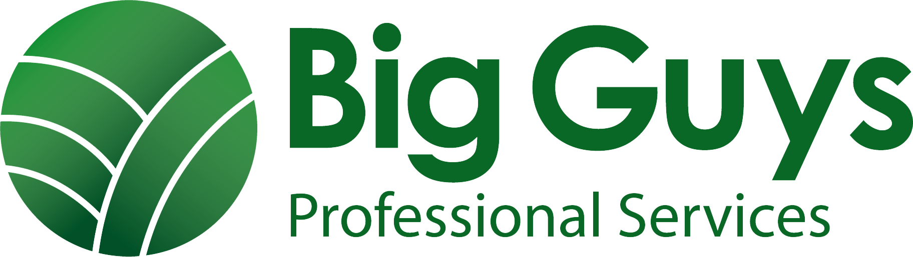 Big Guys Pro Services