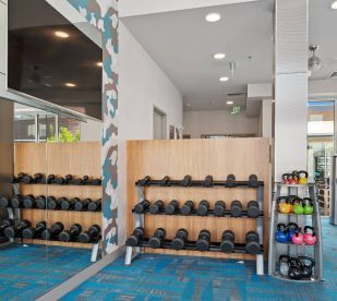 A gym with a lot of dumbbells and kettlebells on display.