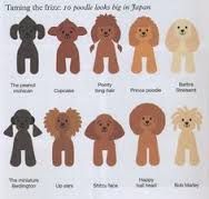 There are many different types of poodles in japan.