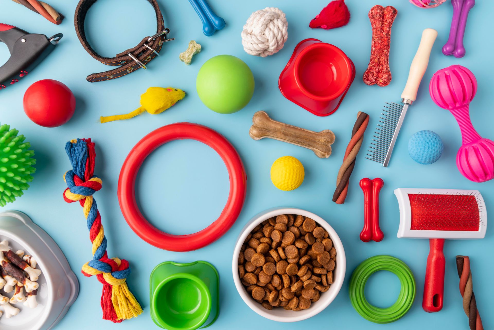 There are many different types of dog toys and food on a blue background.