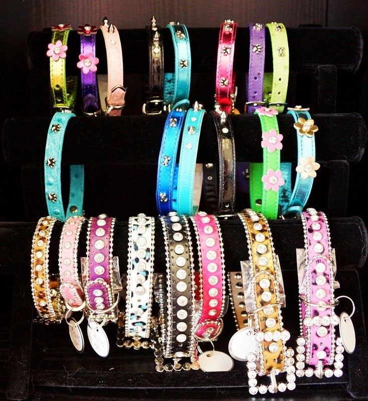 A bunch of dog collars are lined up on a display