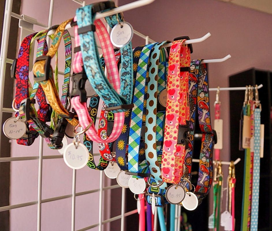 A bunch of colorful dog collars and leashes hanging on a rack
