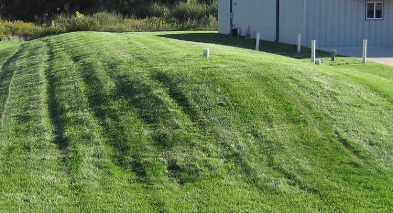 A lush green lawn with a white garage in the background.