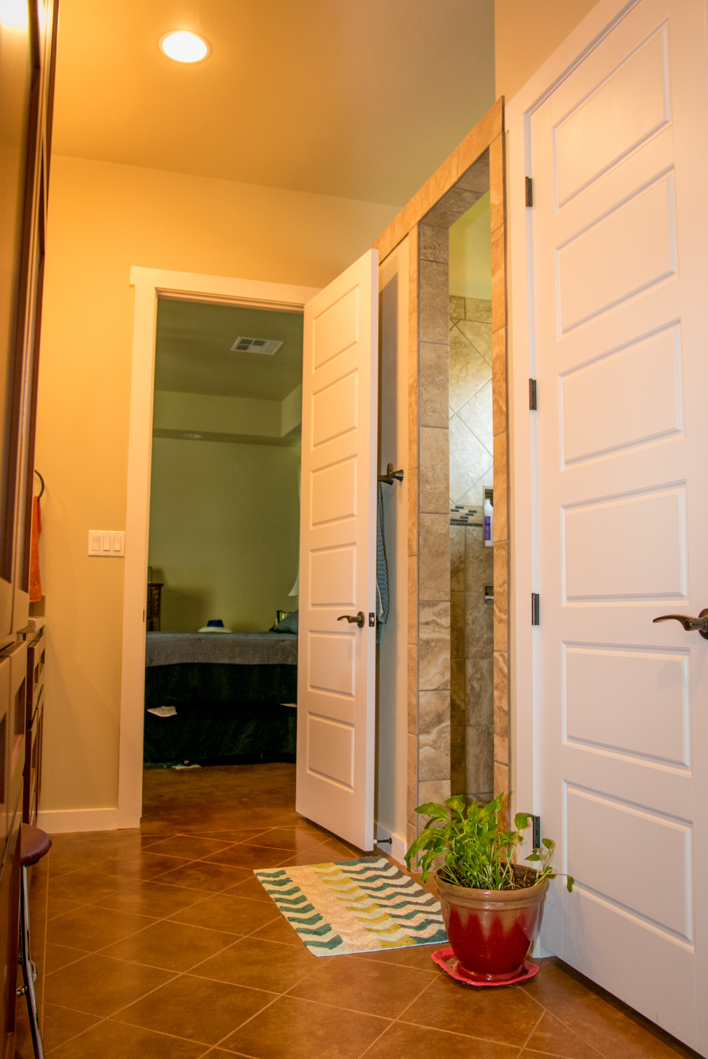 A hallway with a potted plant in the middle of it leading to a bathroom.