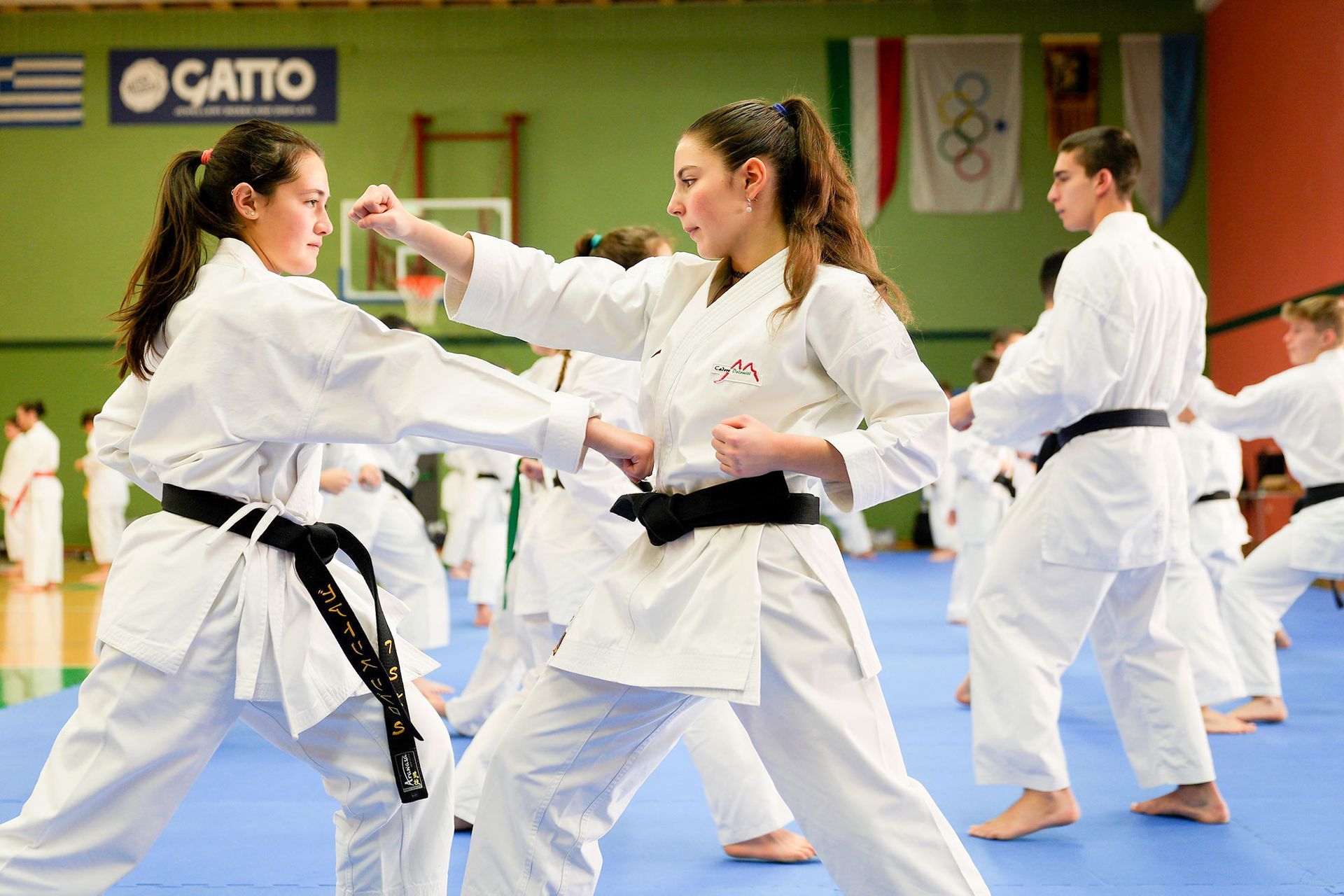 Un gruppo di persone pratica karate in una palestra.
