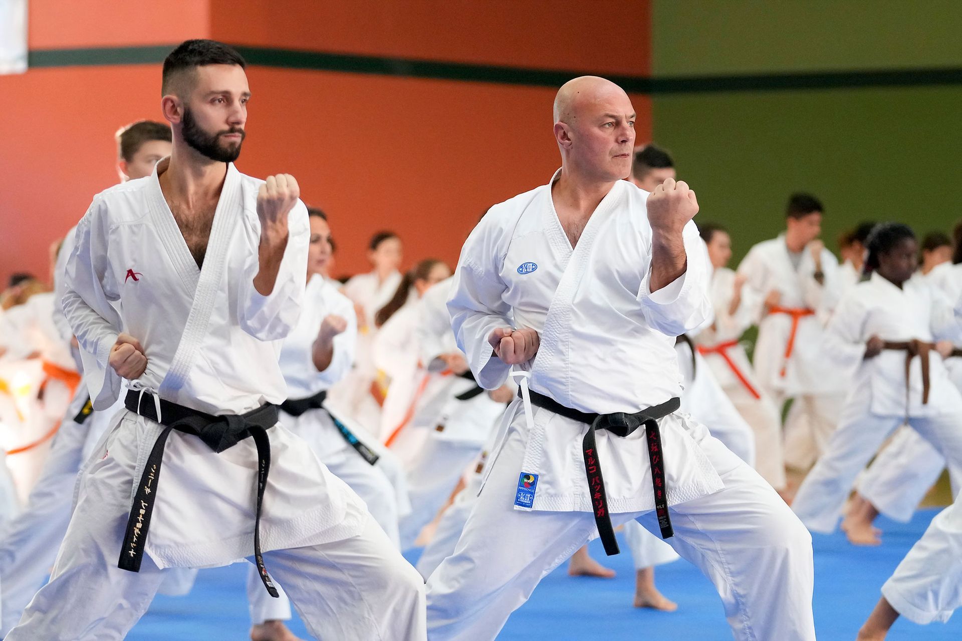 Un gruppo di persone pratica karate in una palestra.