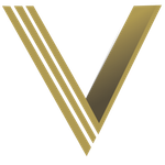 Vanguard Executive Security, protecting VIPs and HNWIs