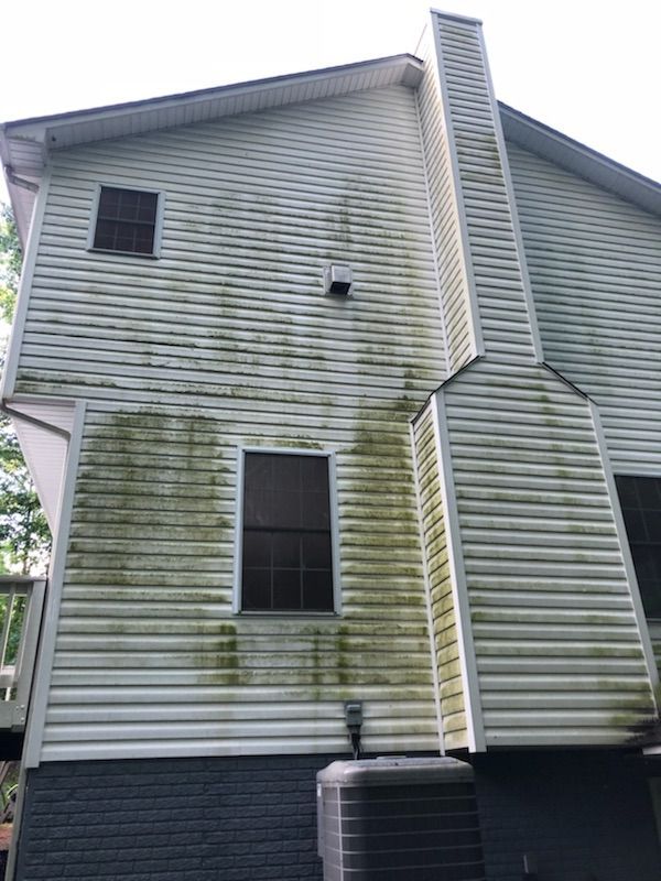 Green algae covers white siding on the side of a two-story house with a chimney.