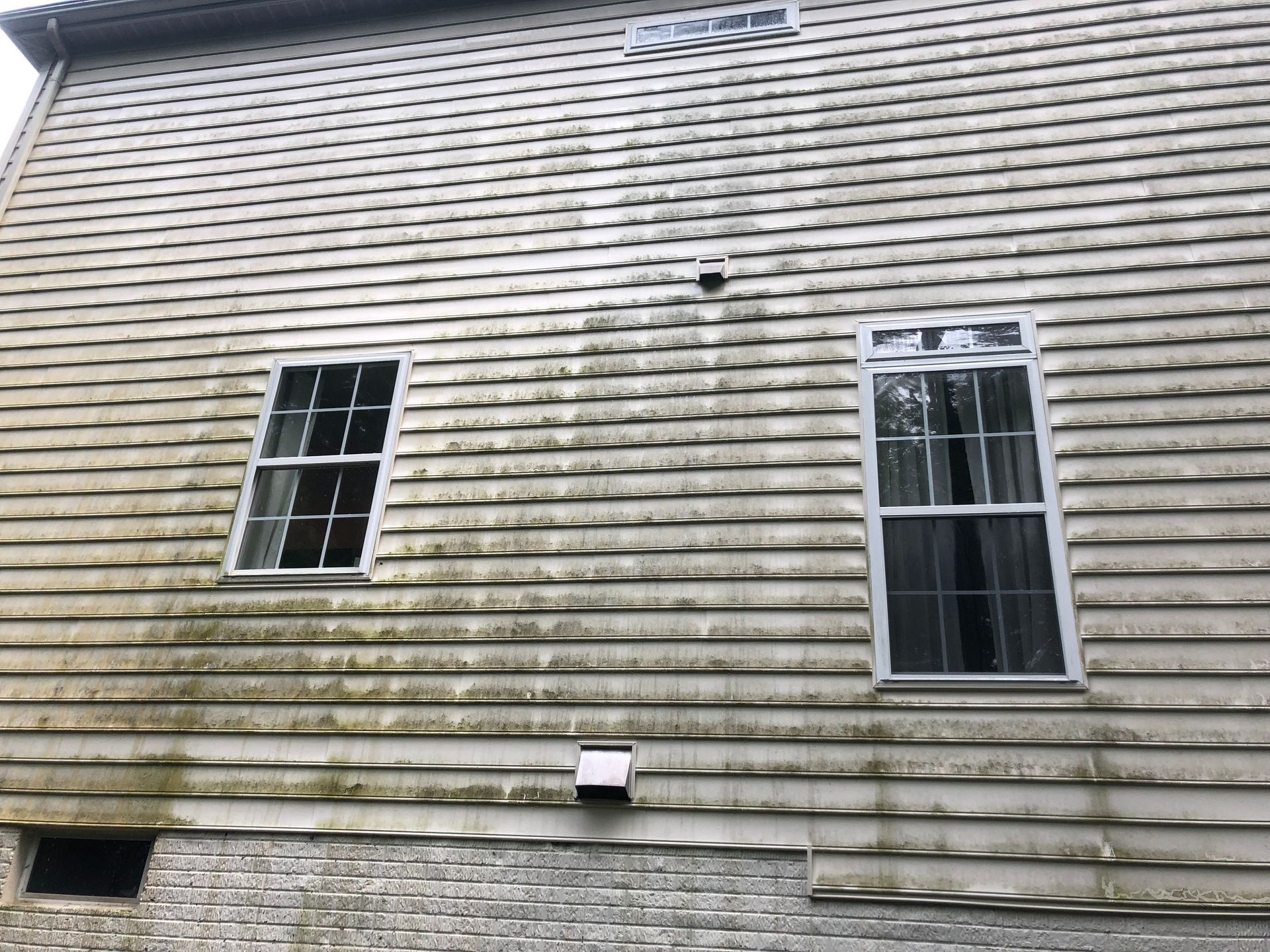 Wooden-sided house with two windows; siding shows green algae growth.