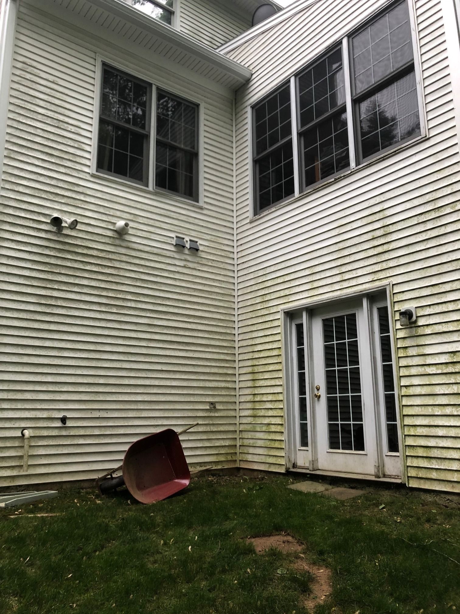 White house siding covered in green algae, with a wheelbarrow in the grass.