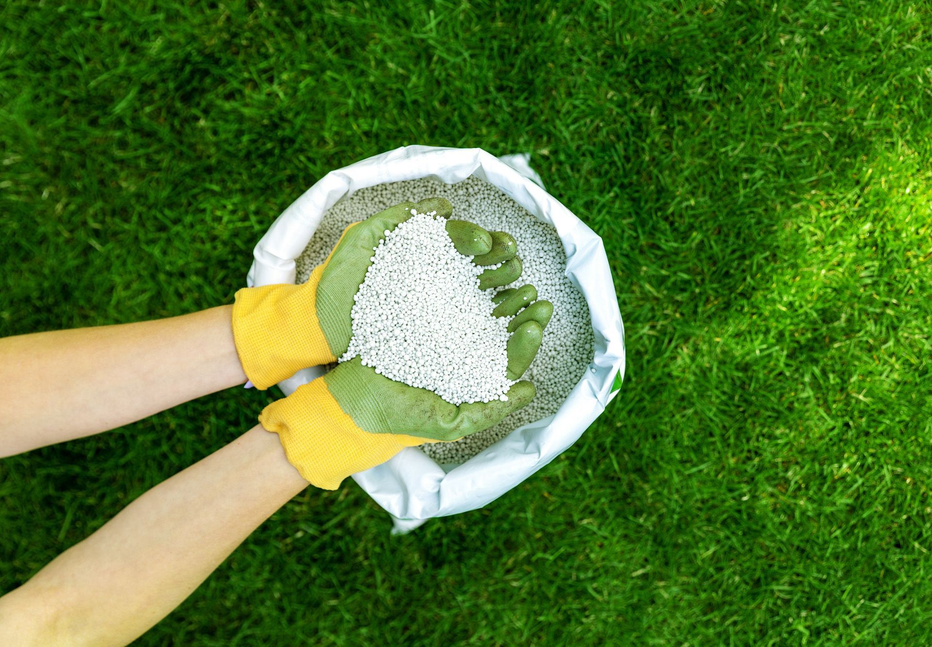 A person is holding a bag of fertilizer in their hands.