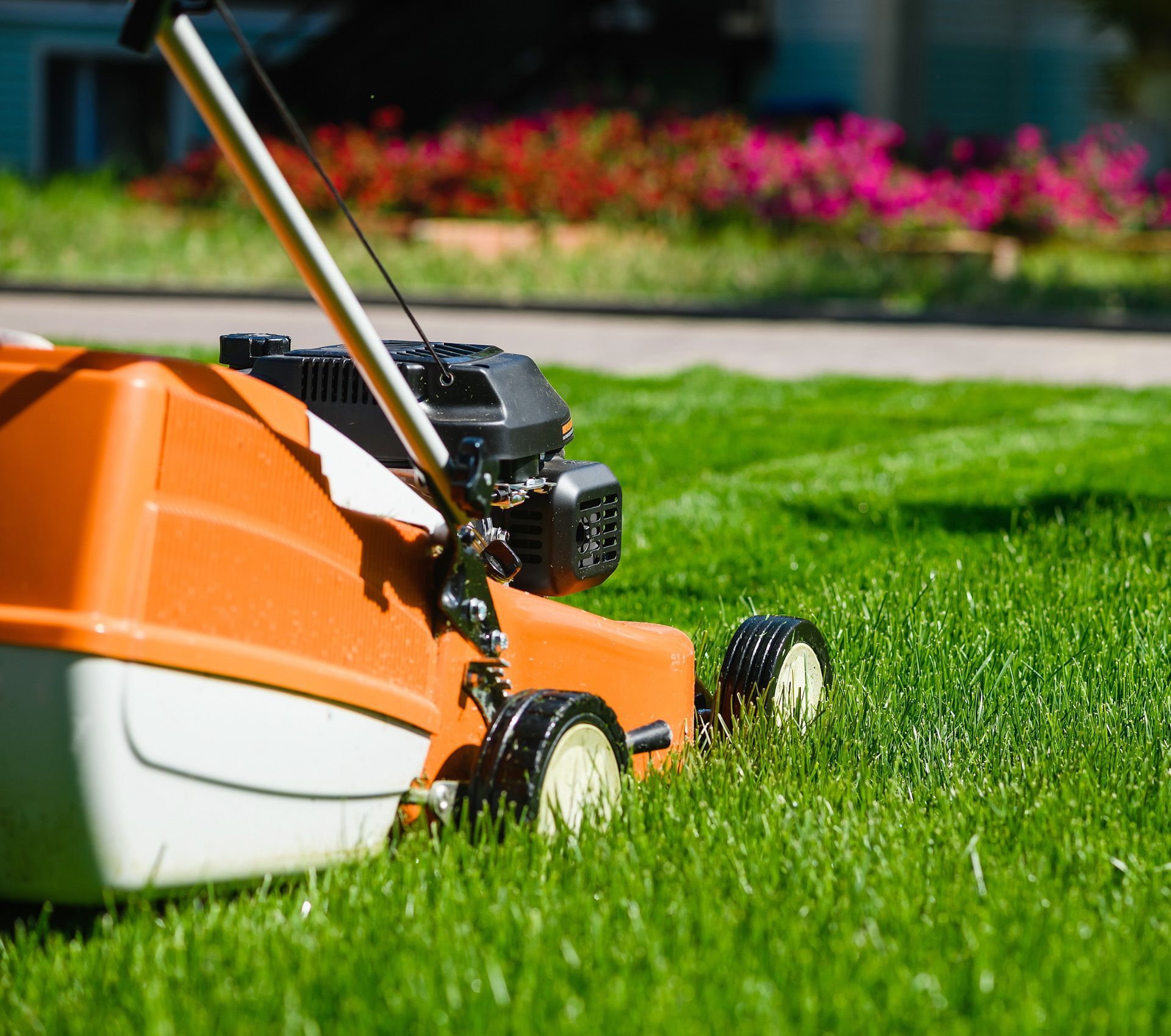 A lawn mower is cutting a lush green lawn.
