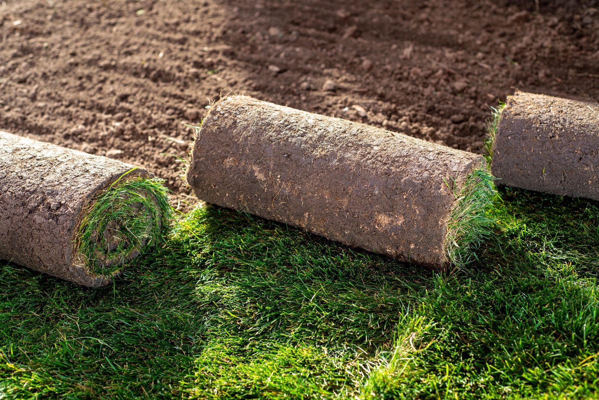 Three rolls of turf are sitting on top of a lush green field.
