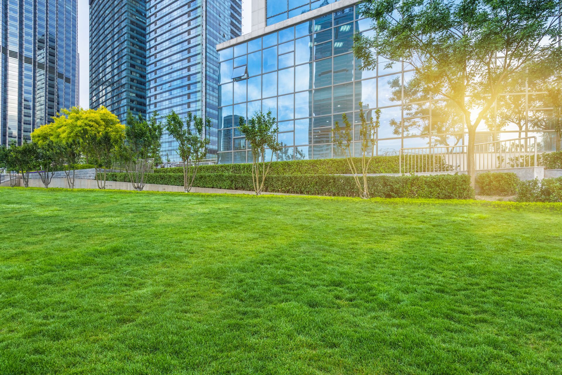 There is a large lawn in front of a tall building.