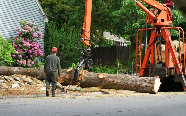 Worker supervises a crane lifting large cut tree trunks onto a truck for removal in a residential neighborhood setting.
