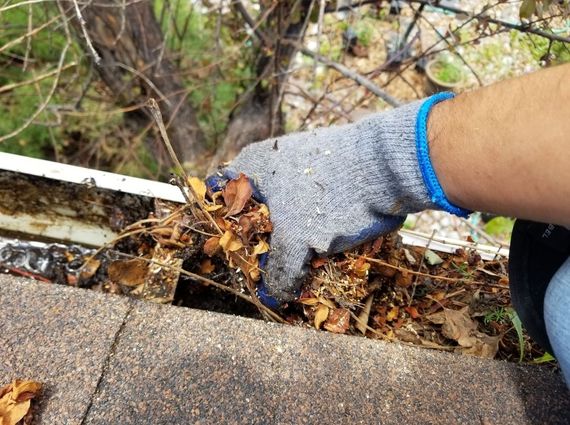 Gloved hand clearing leaves and debris from a gutter next to a roof edge