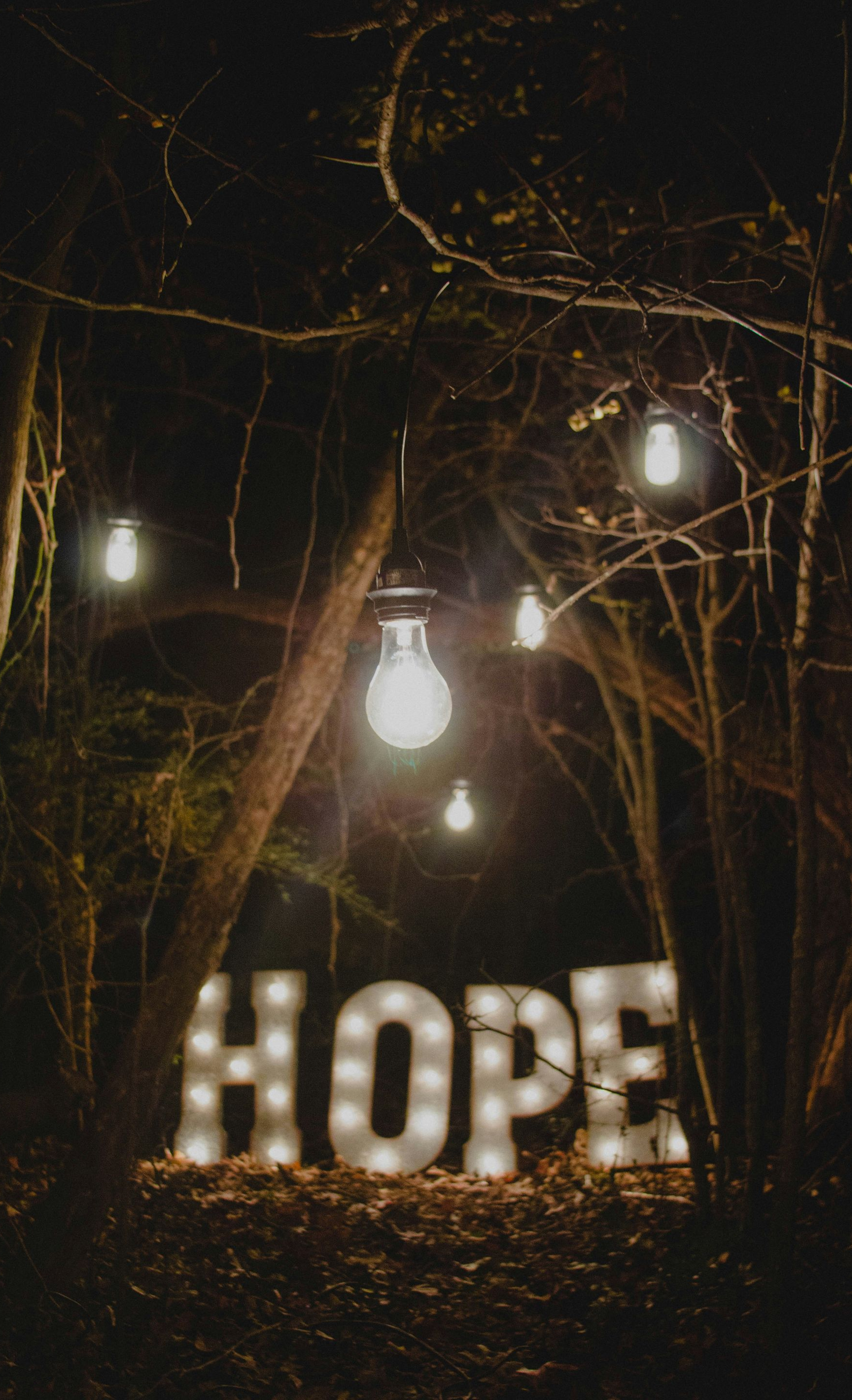 Glowing “HOPE” letters in a dark wooded scene with hanging lights and bare branches