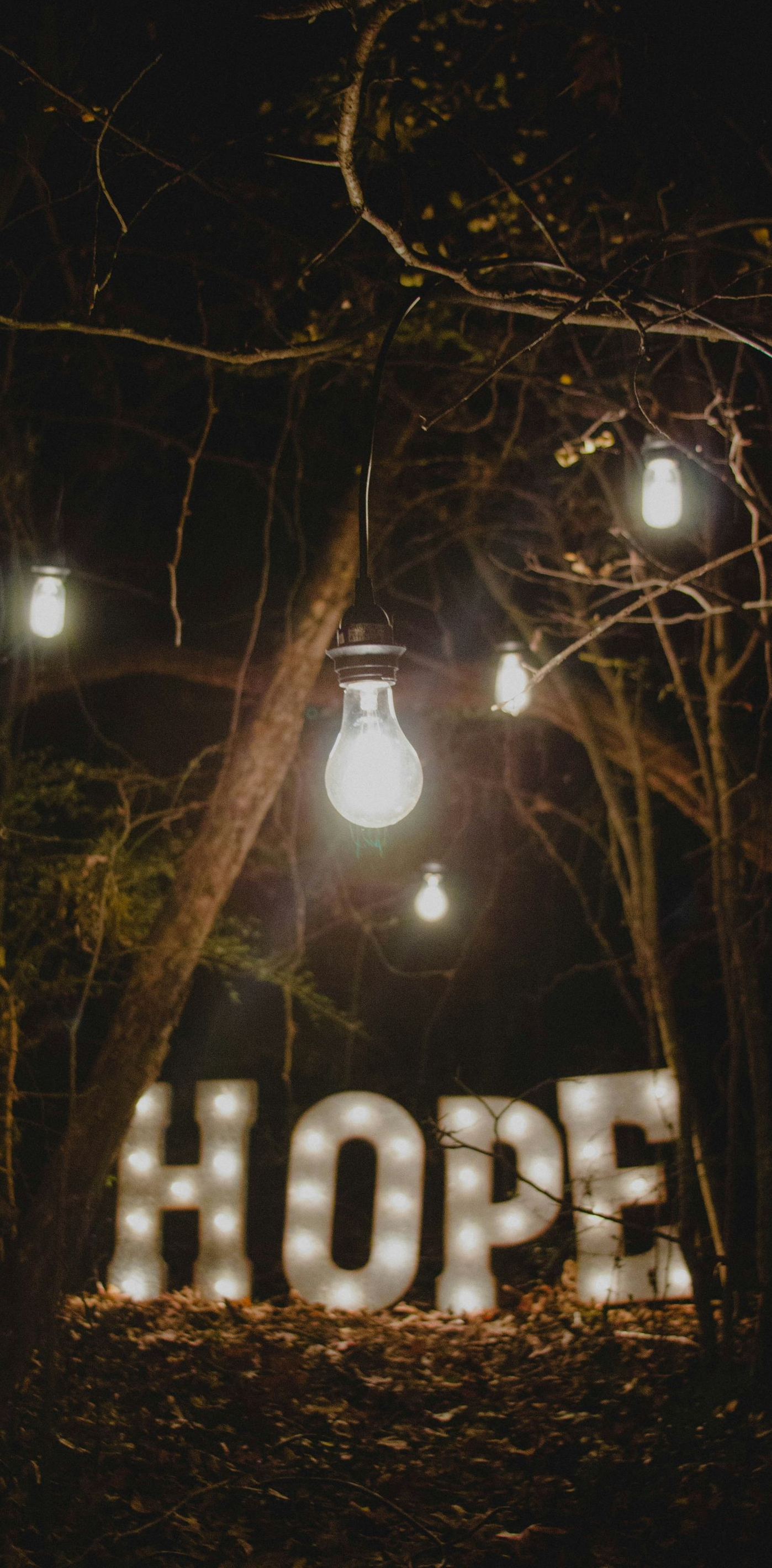 Glowing HOPE sign in a dark wooded scene with hanging lights