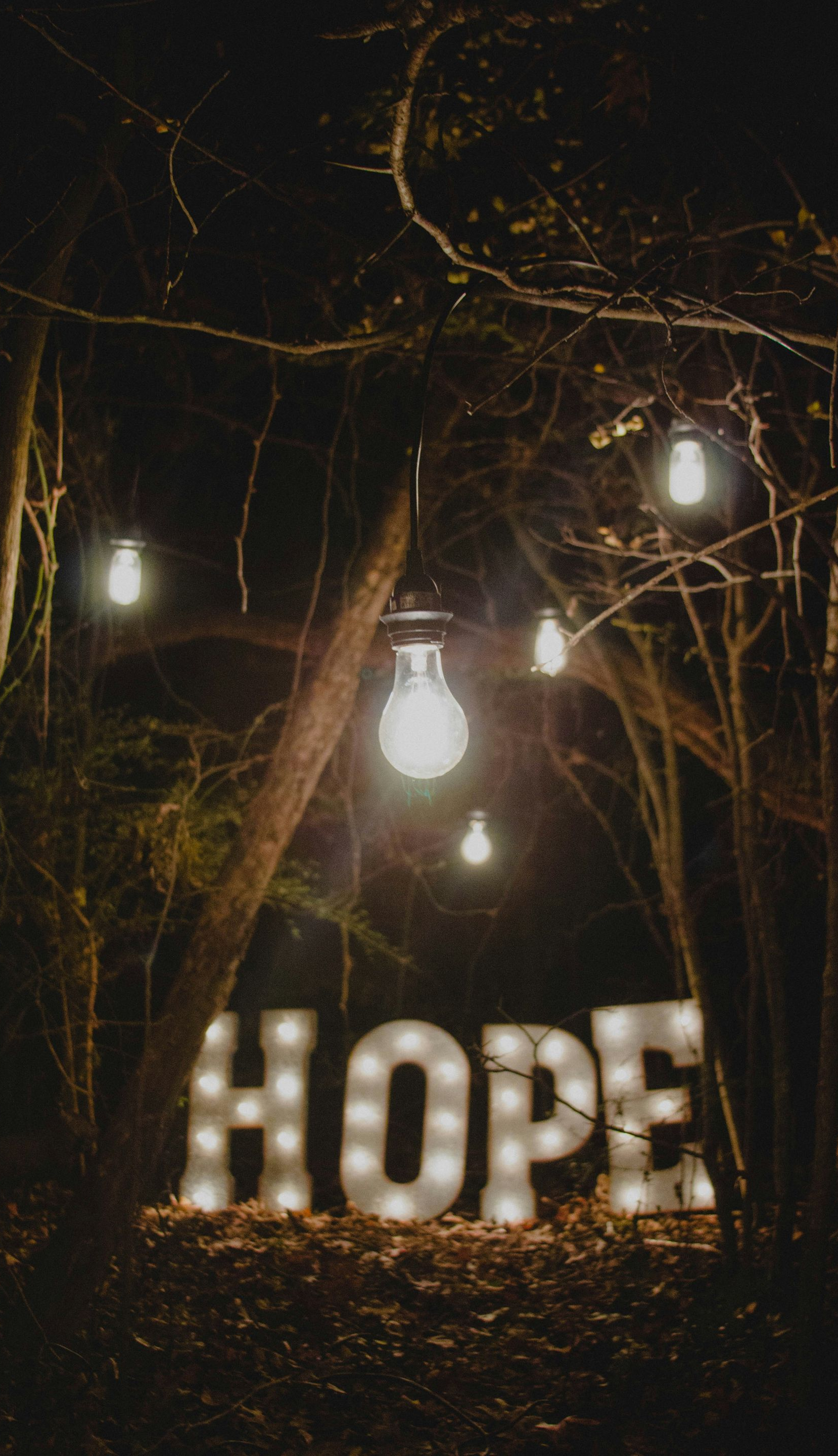 Glowing “HOPE” sign under hanging lights in a dark wooded scene