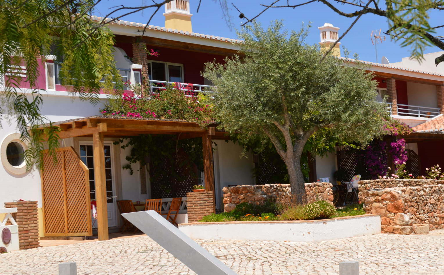 Oliveira da Quinta da Mesquita