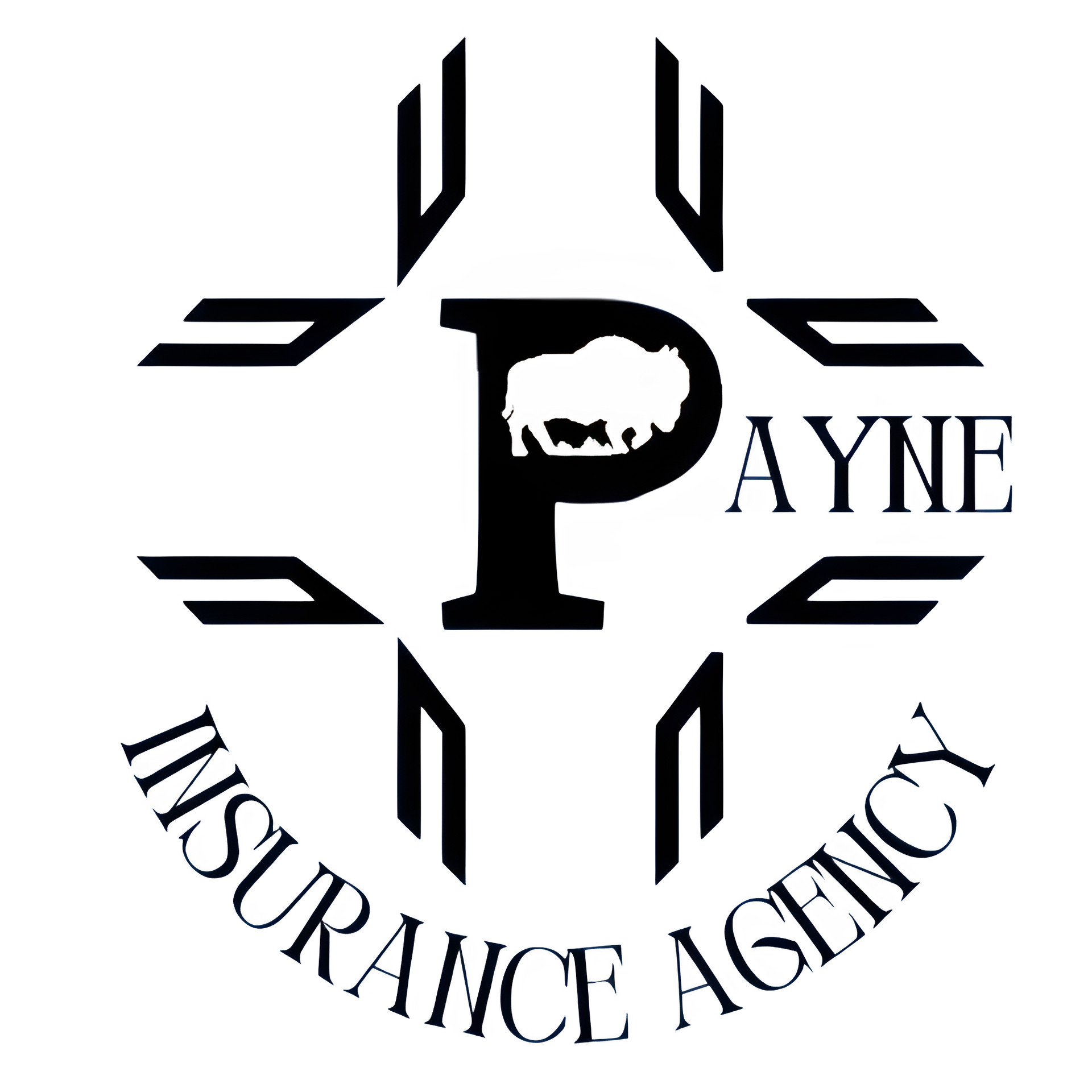 Payne Insurance Logo
