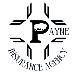 Payne Insurance Logo