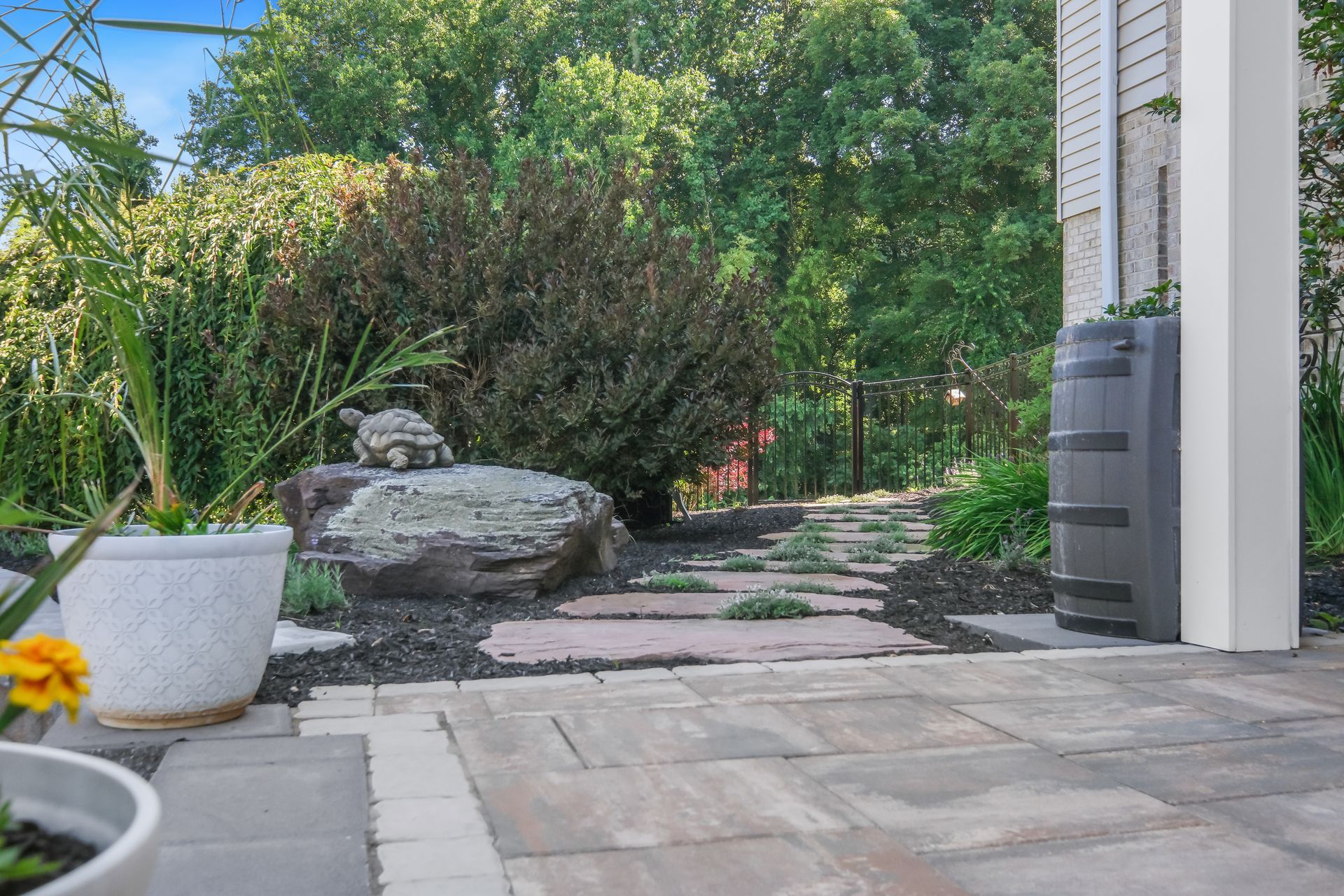 A turtle is sitting on a rock in the middle of a garden.