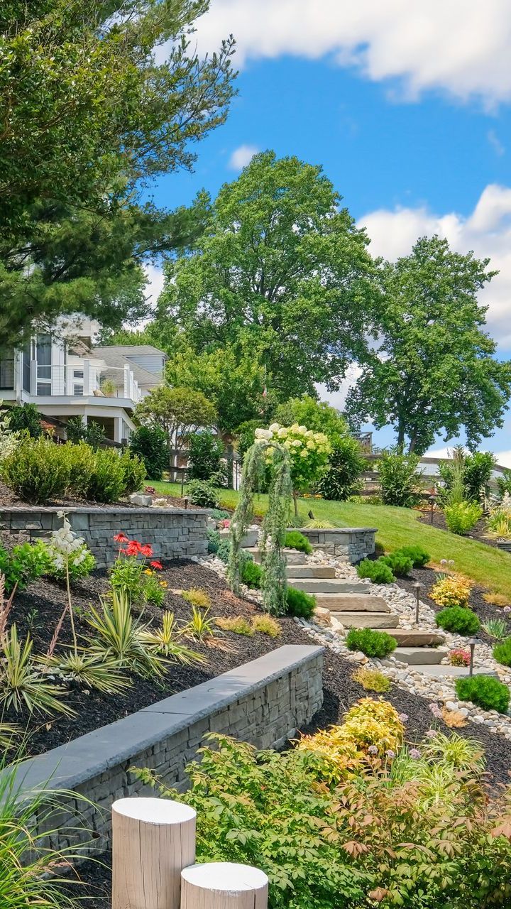 A lush green garden with stairs leading up to a house.