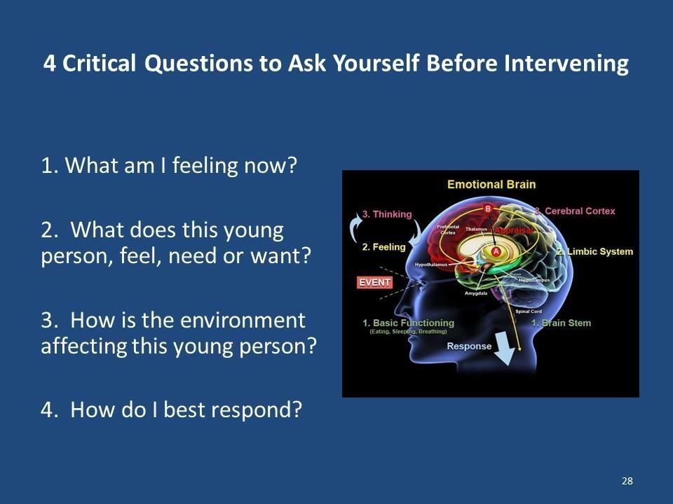 Slide with four questions to ask before intervening, alongside a diagram of the human brain.