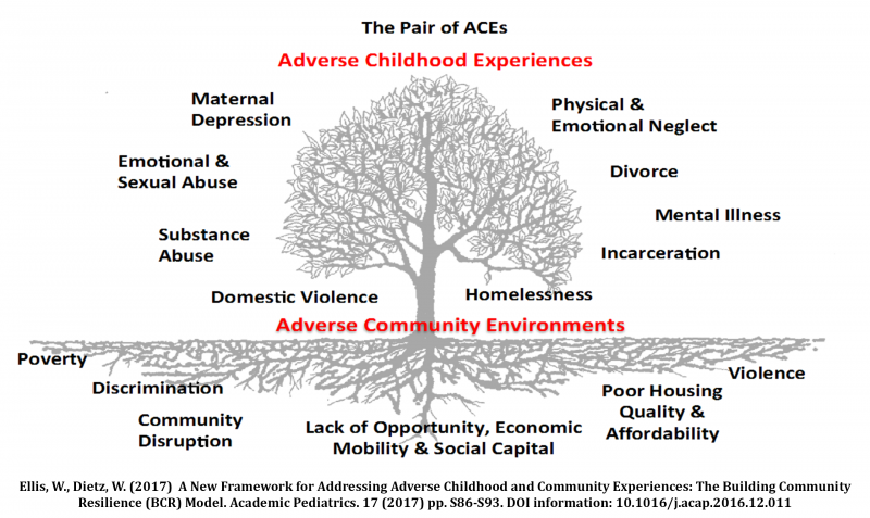 Diagram of a tree depicting Adverse Childhood Experiences (ACEs) and Adverse Community Environments.