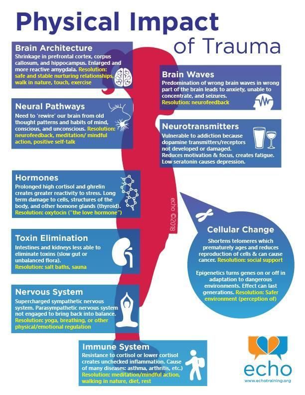 Infographic detailing physical impacts of trauma on the brain, hormones, & other bodily systems, in red & blue.