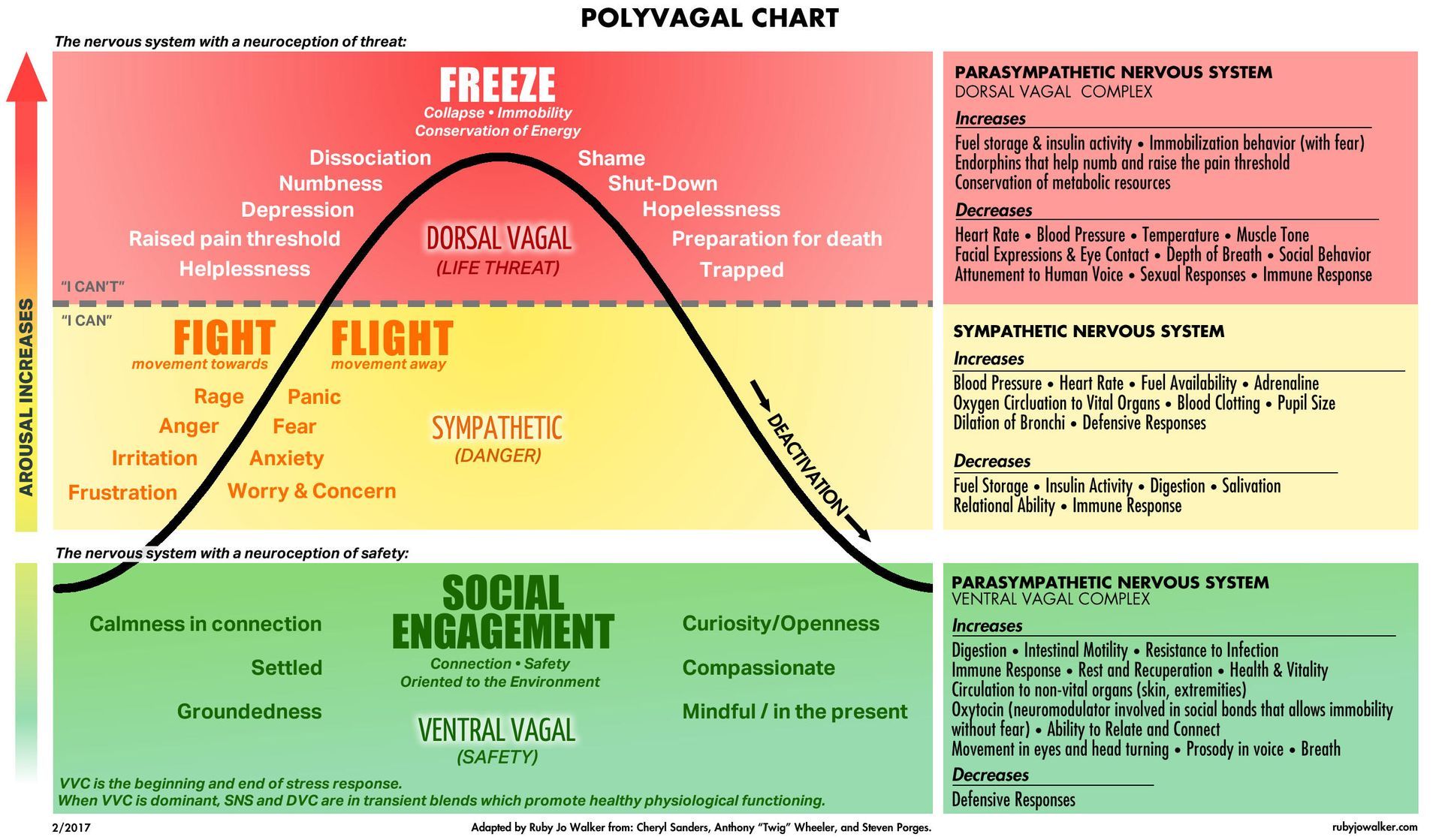 Polyvagal Chart
