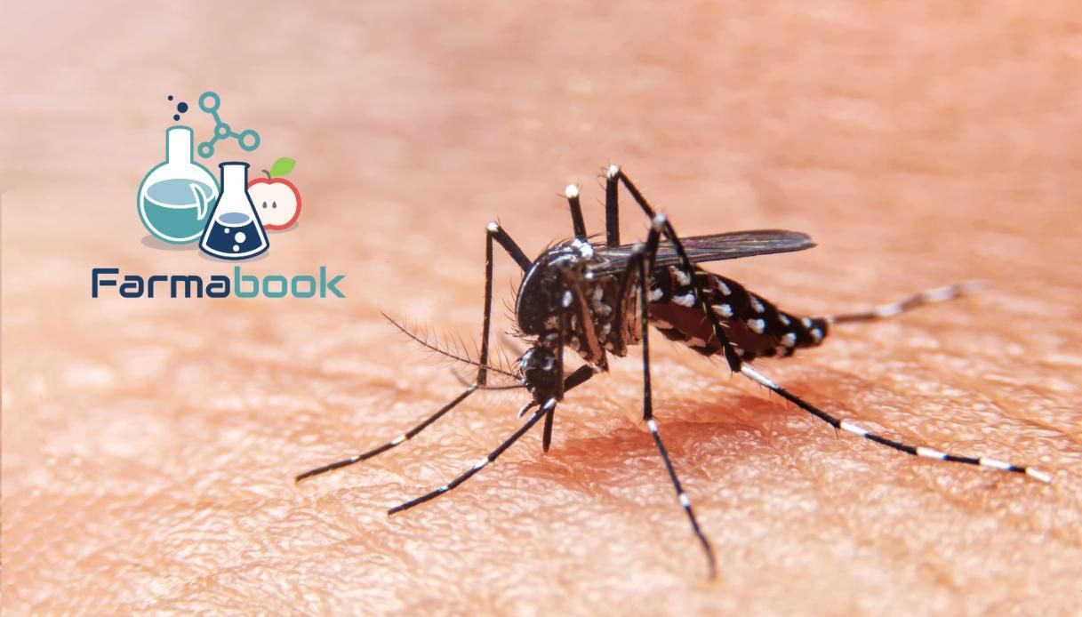 Punture di zanzara e virus West Nile: i rischi reali e come proteggersi