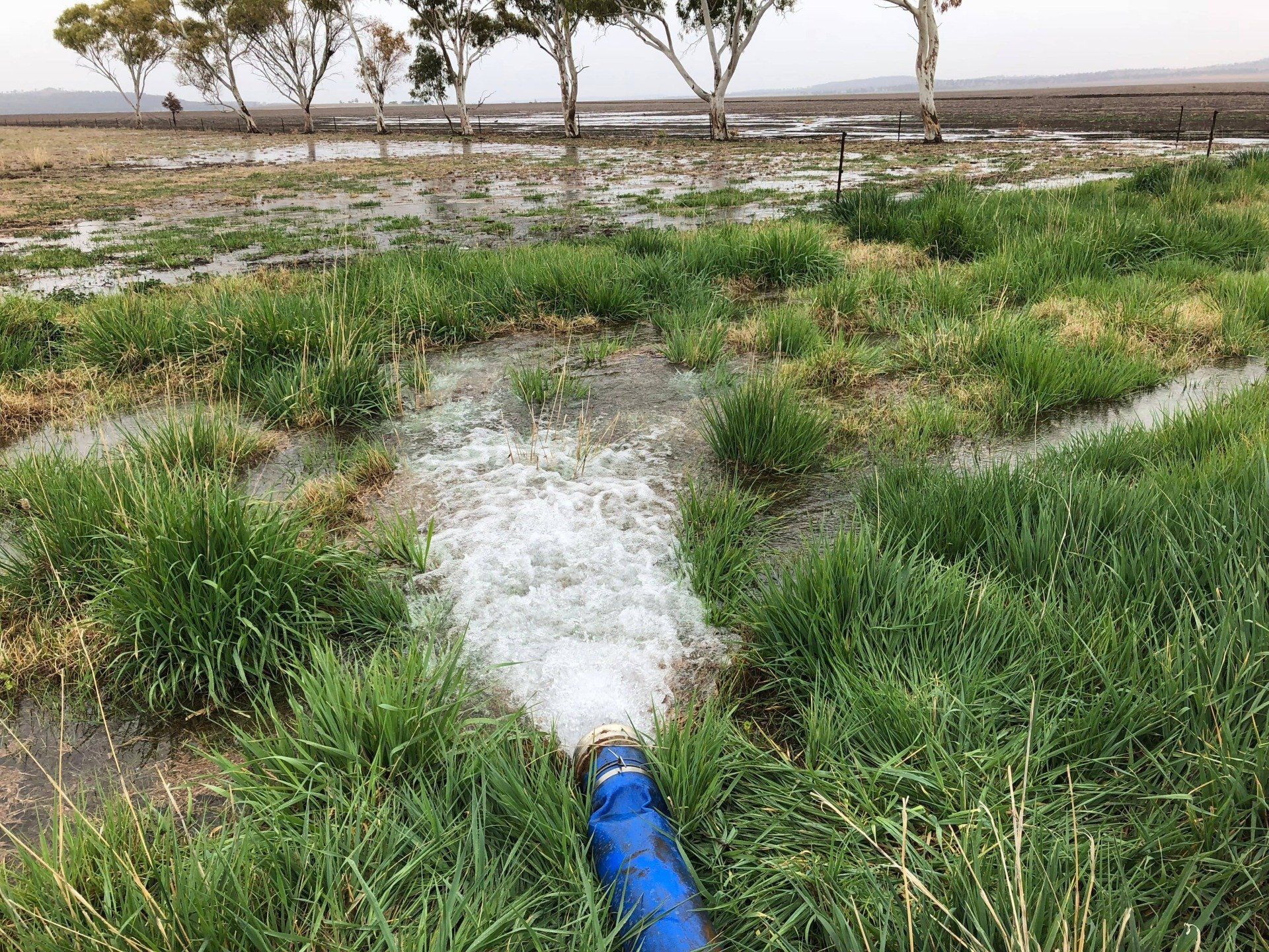 HydroSolar Services & Solutions Dubbo NSW