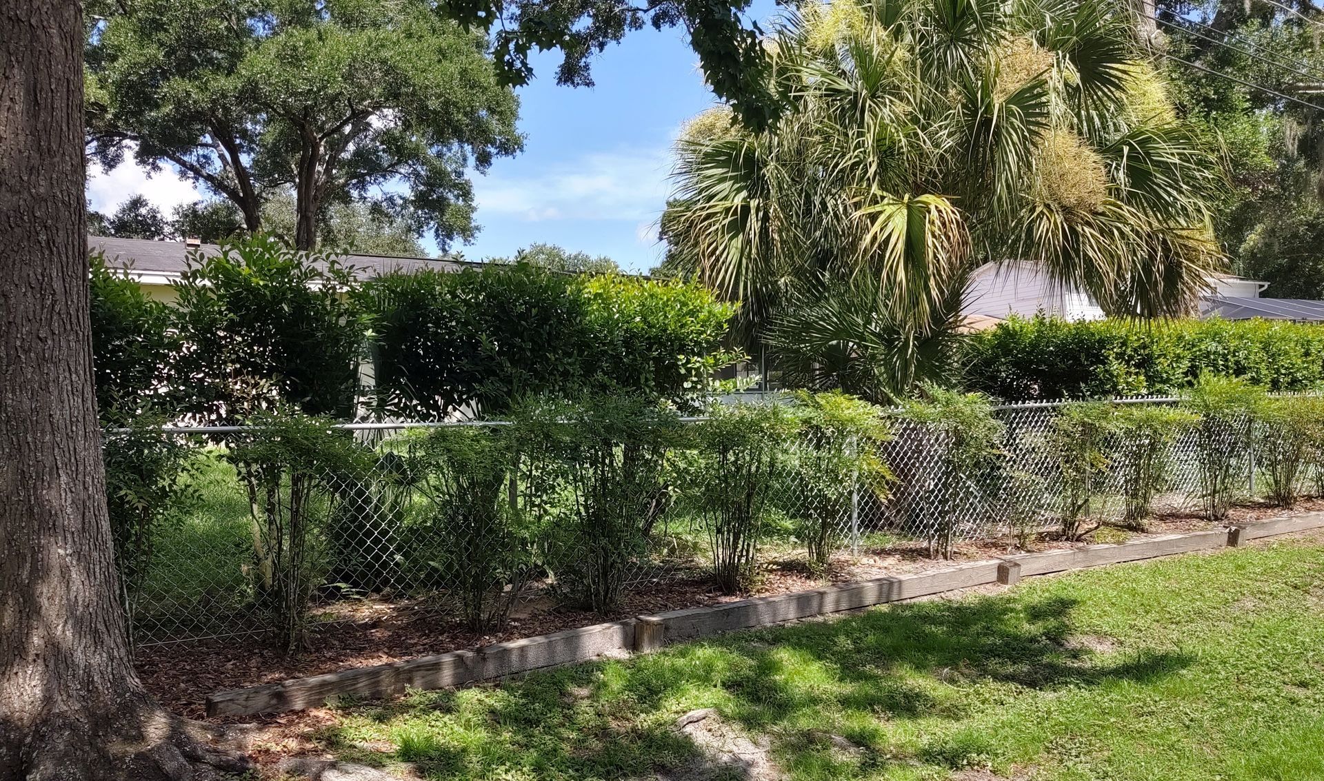 Residential chain link gate installation in Tampa, FL