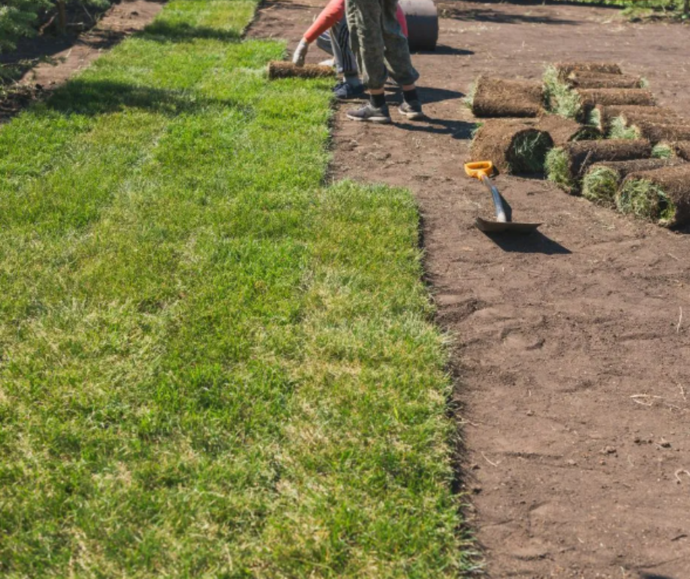 Two workers laying sod beside a dirt garden bed on a sunny lawn