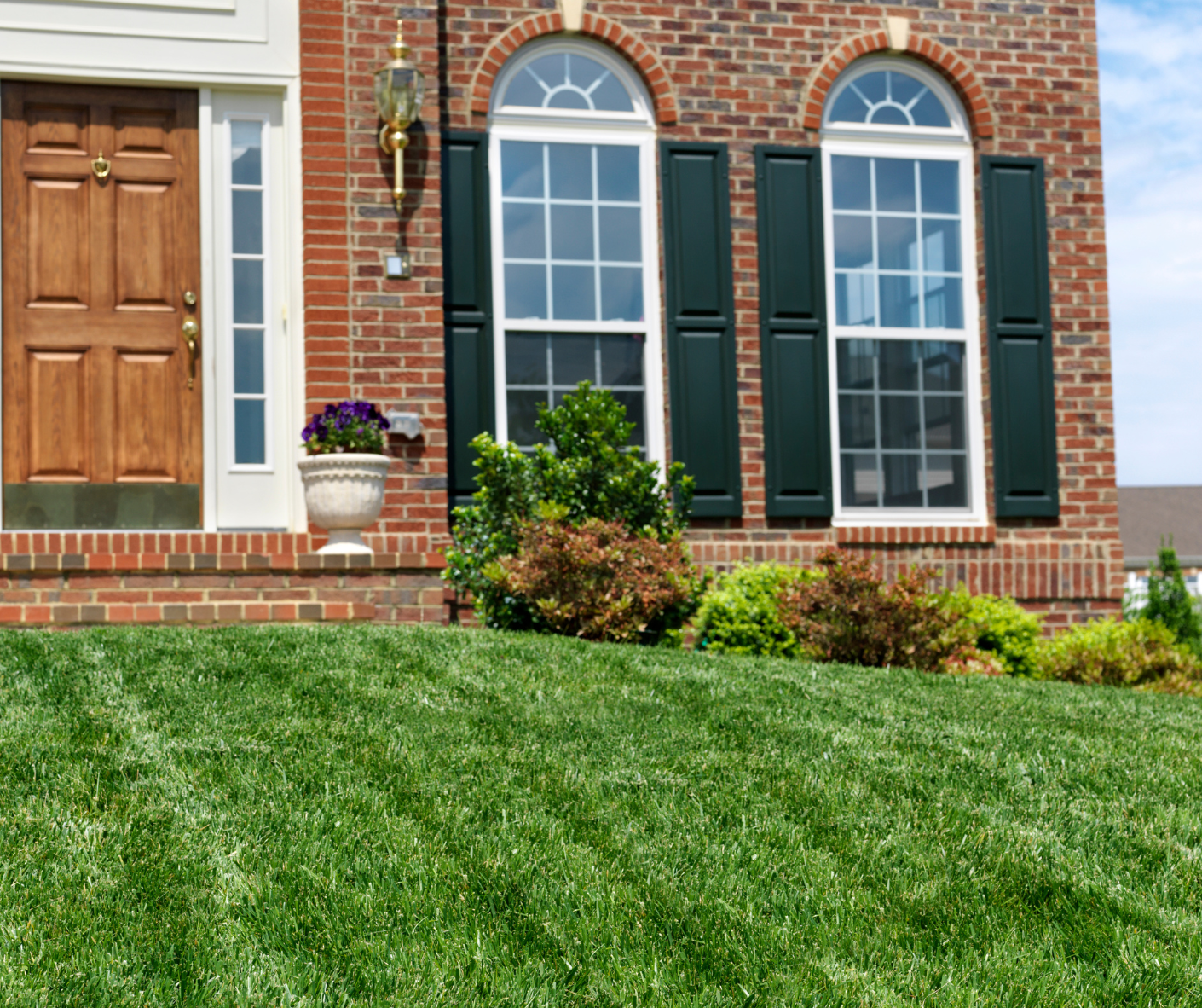 Brick house front entrance with white-trimmed windows, dark shutters, potted flowers, and a green lawn Brick house front entrance with white-trimmed windows, dark shutters, potted flowers, and a green lawn