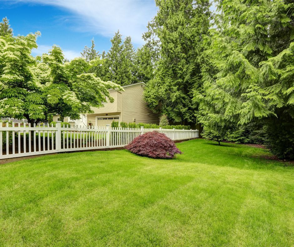 A yard with a healthy green lawn