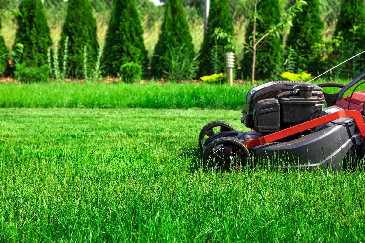 lawn mowing times nsw