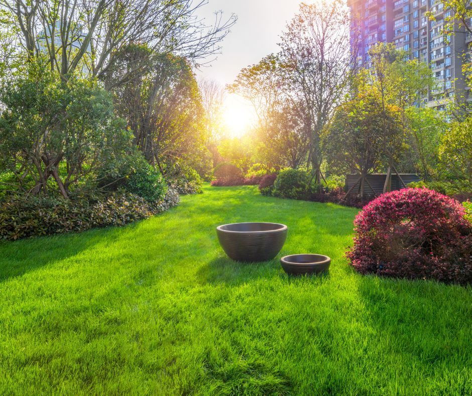 A well-maintained garden with a lush green lawn