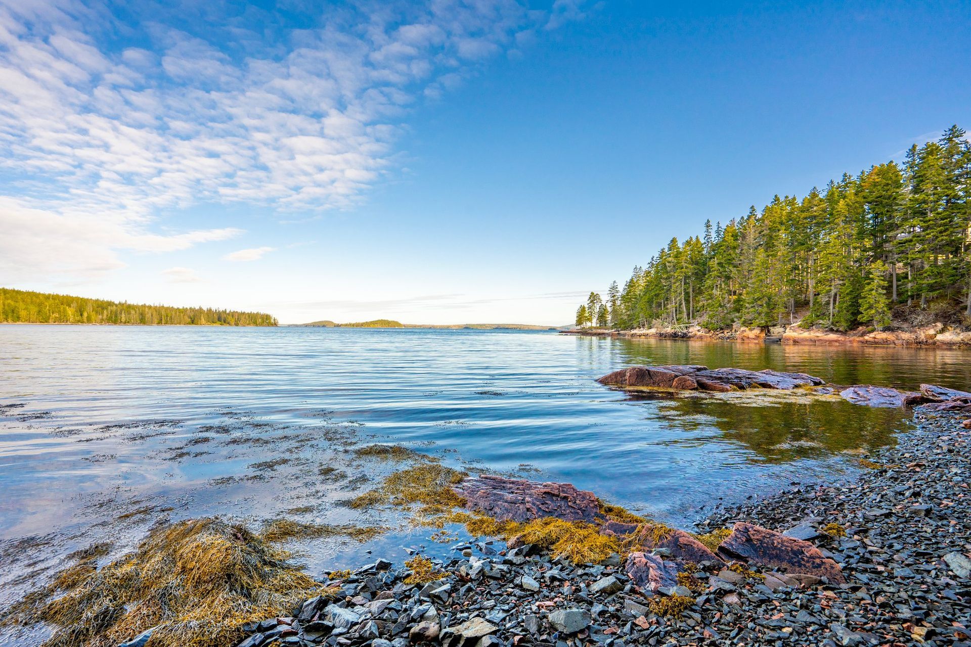 A large body of water surrounded by trees on a sunny day.