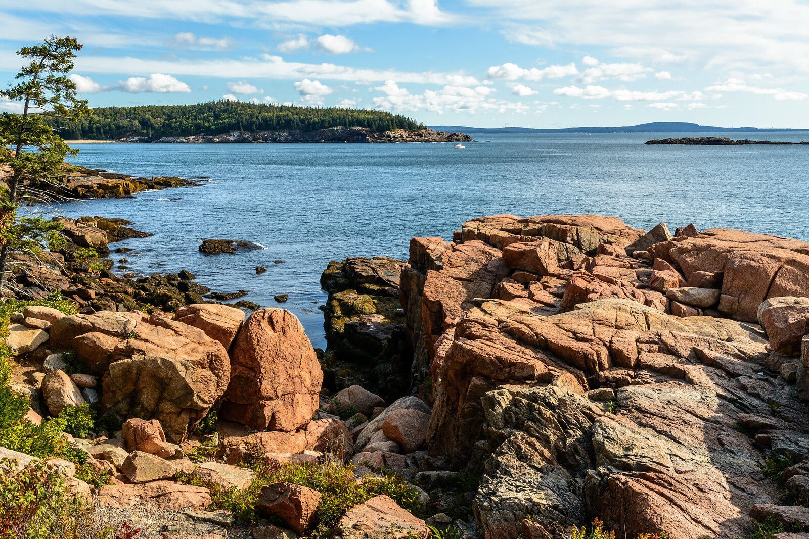 A rocky shoreline with a large body of water in the background.