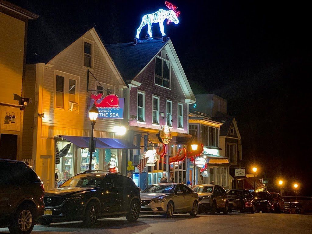 A moose is lit up on the roof of a building