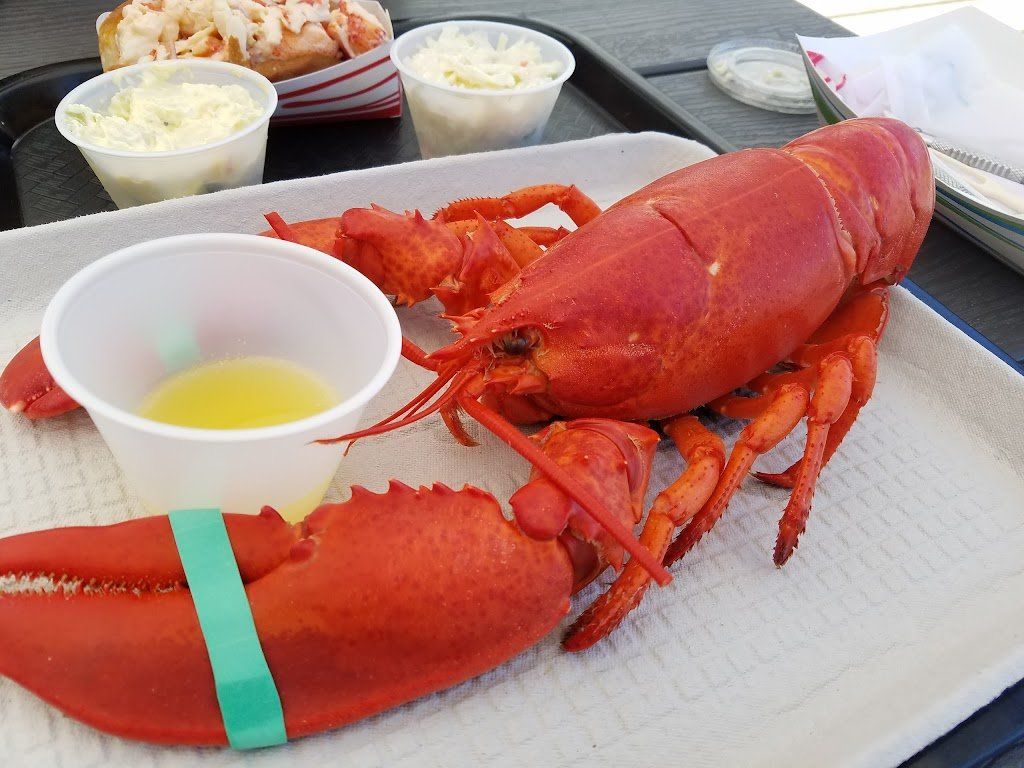A large lobster is sitting on a tray next to a cup of butter